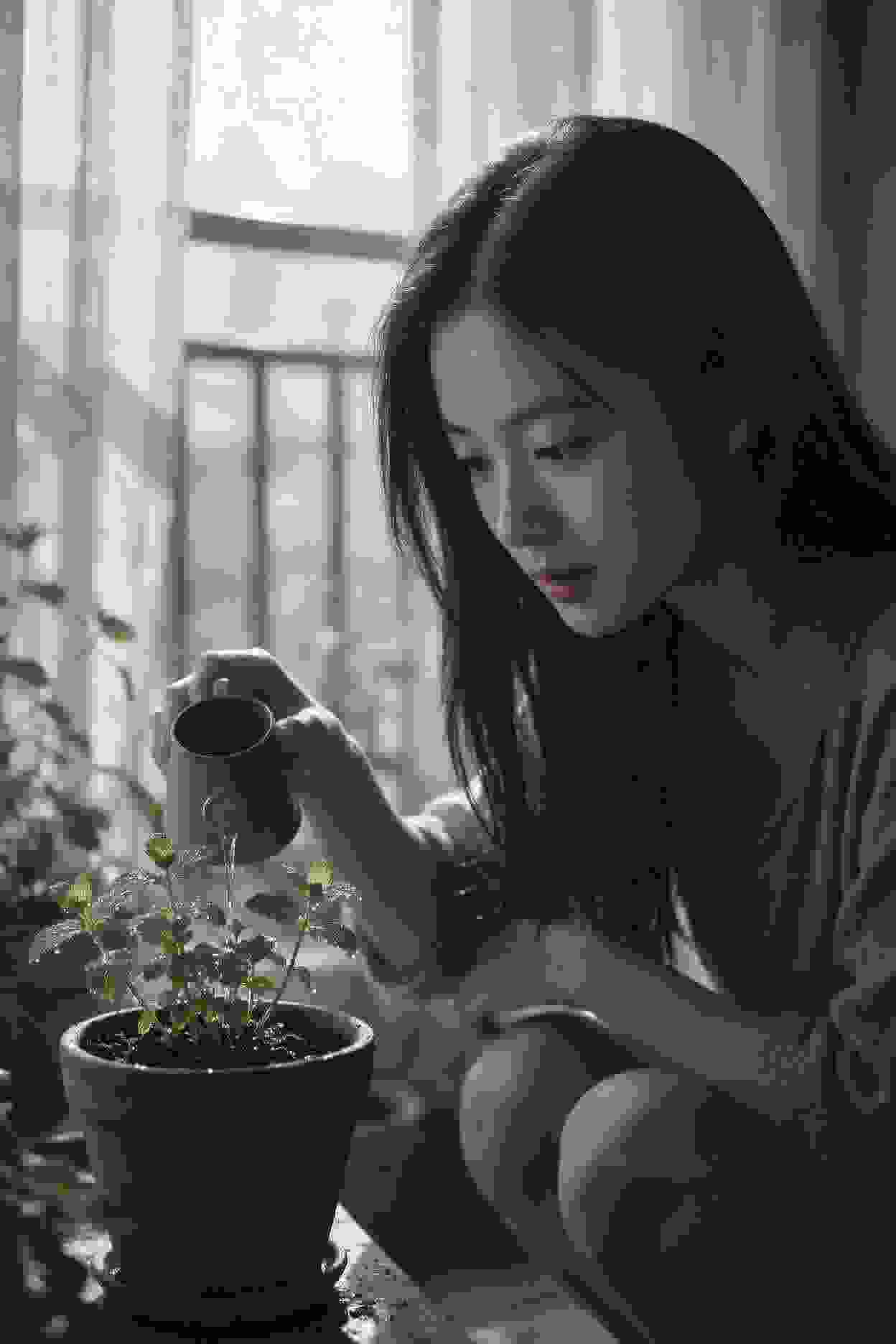 绿茵梦